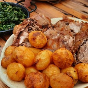 Cabrito estonado