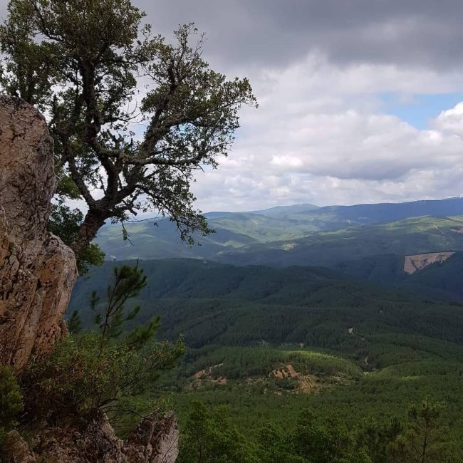 Escalada Crista do Zebro _ Moradal