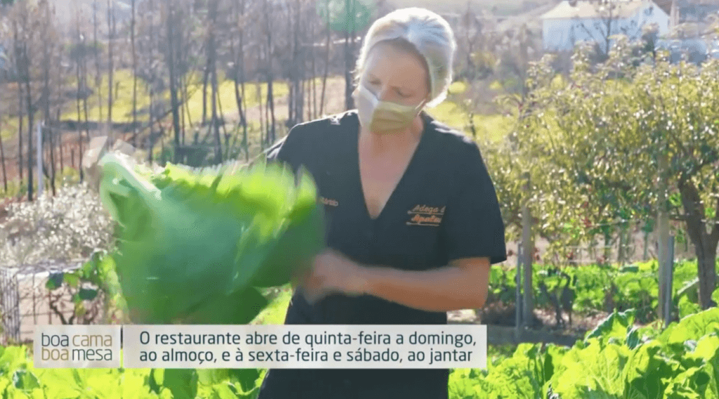 O principal guia Turístico Português, Boa Cama, Boa Mesa veio à Adega dos Apalaches.